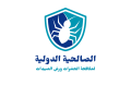 الصالحية الدولية