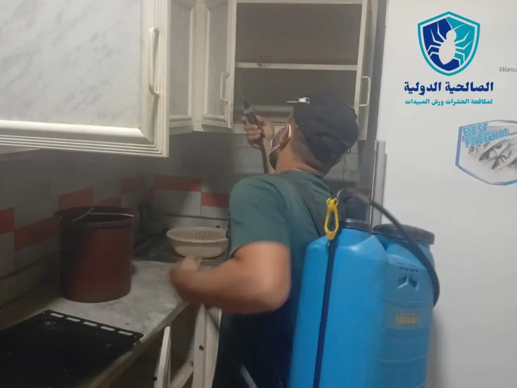 القضاء على السوس في المطبخ