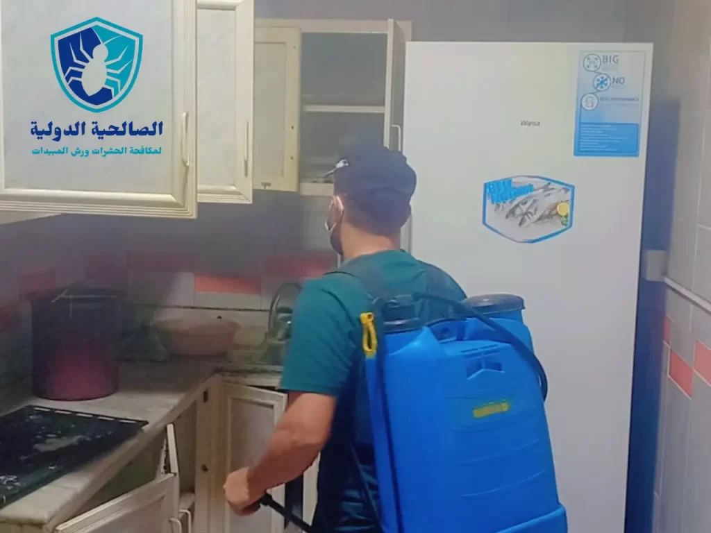 شركة بخ حشرات