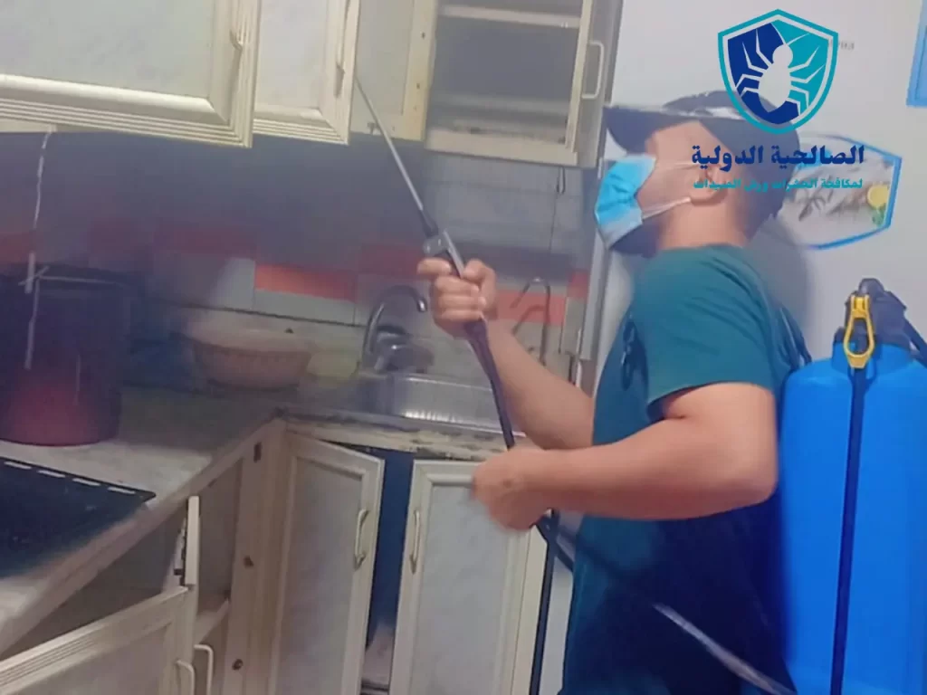 شركة رش النمل الابيض