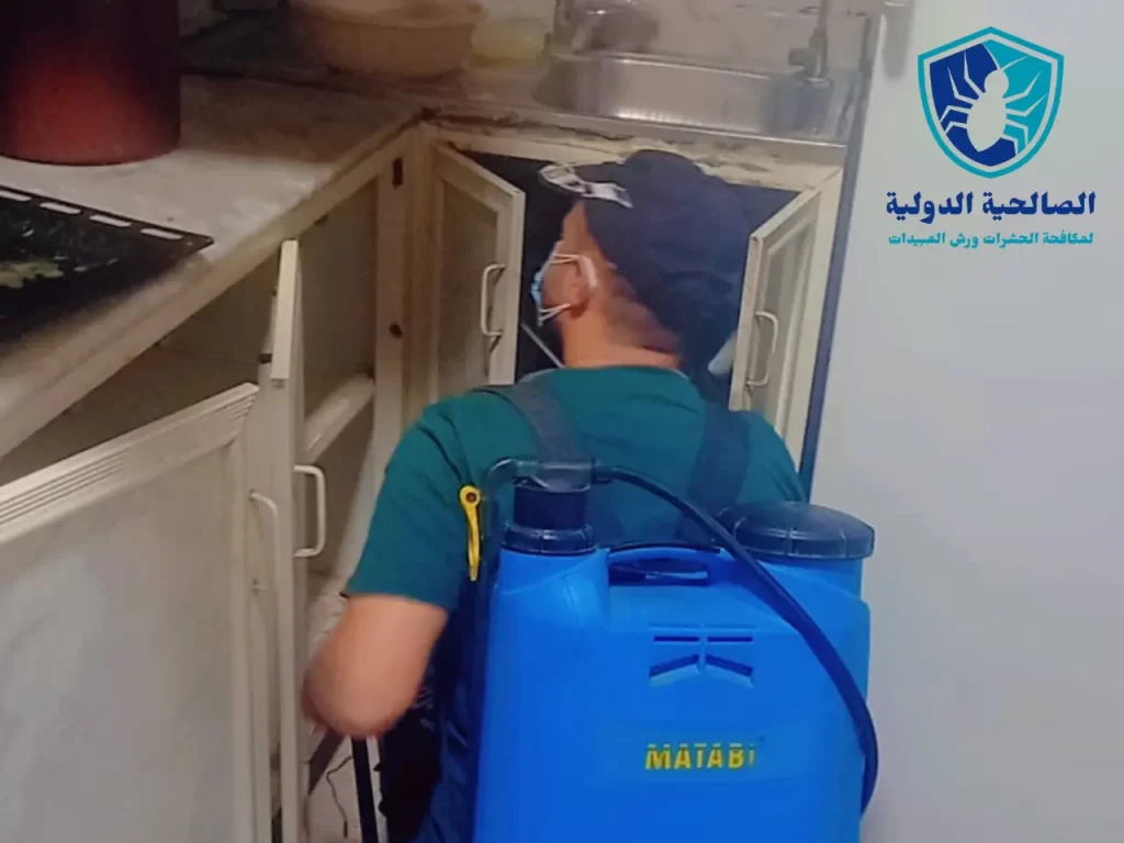 شركة رش صراصير