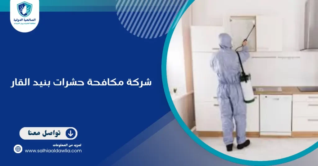 شركة مكافحة حشرات بنيد القار