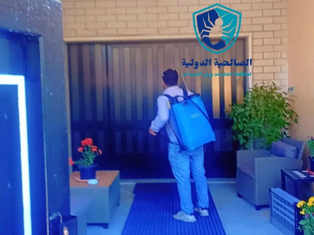 شركة لرش المنازل من الحشرات