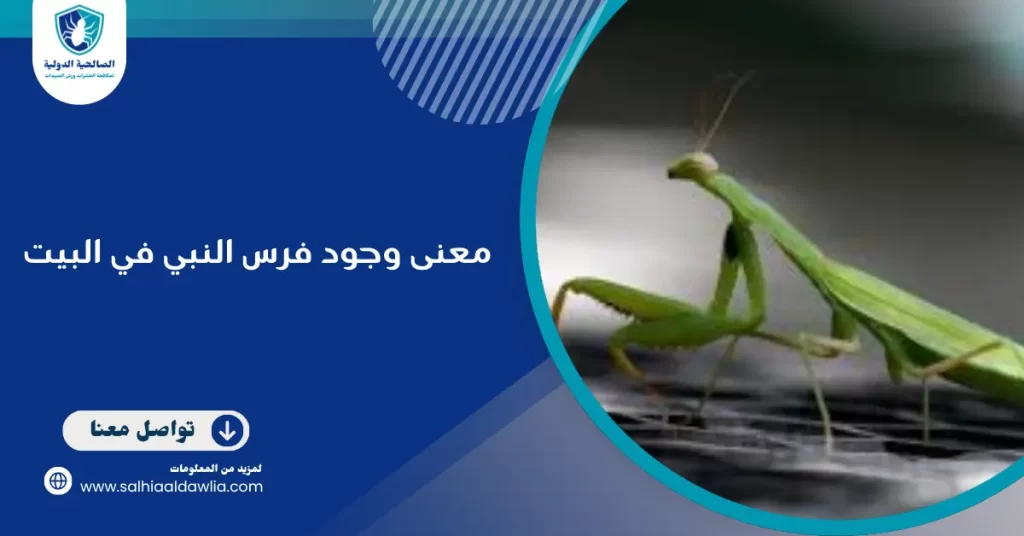 معنى وجود فرس النبي في البيت