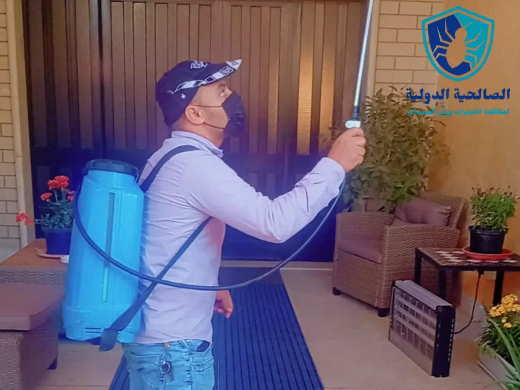 مكافحة البق في المنزل