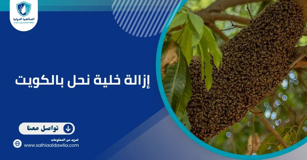 إزالة خلية نحل بالكويت