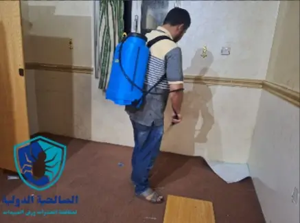 رش مبيدات حشرية